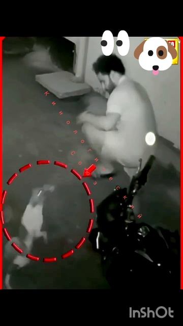 ужасы инквизиции