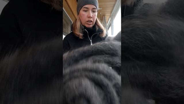 Пуховые шали. 89206610982. смотреть онлайн