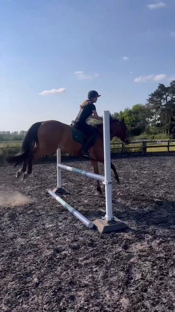 I GOT A NEW SADDLE PAD 😋 || #equestrianrider смотреть онлайн