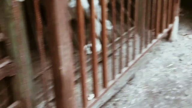 Подготовили будки и немного злючки Яшмы😈