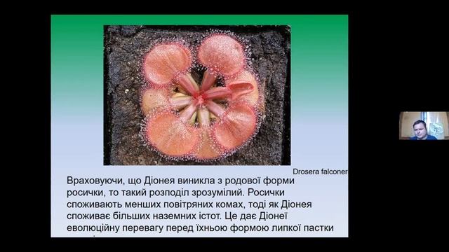 РОСЛИНИ ХИЖАКИ??? - лекторій від НПП Голосіївський з Олексієм Коваленко ч.1 смотреть онлайн