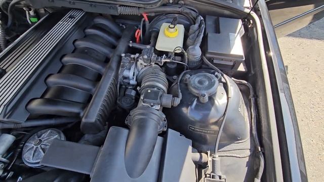 SOLD 1999 BMW M3 E36 Convertible 5 Speed Manual смотреть онлайн