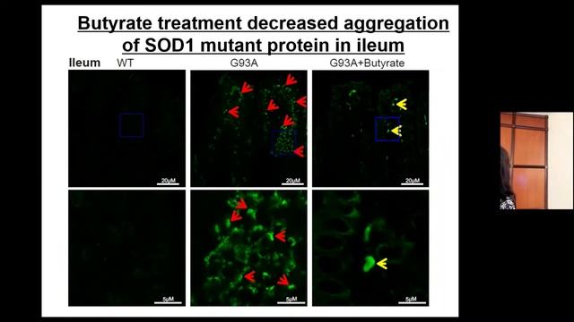 Seminar Jun Sun, Ph.D. смотреть онлайн
