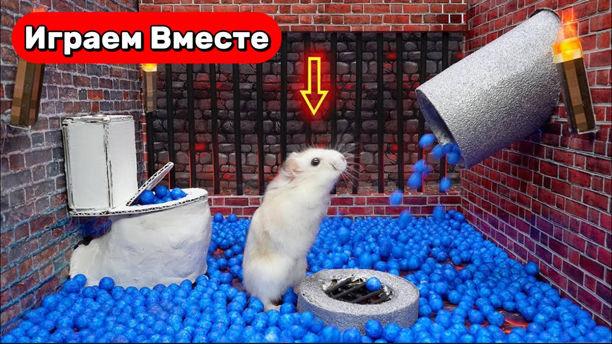 СЕКРЕТНАЯ ТЮРЬМА с ЛОВУШКАМИ для Умного Хомяка ! Выбираемся вместе ! Видео для детей смотреть онлайн