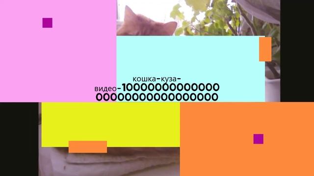 кошка куза видео 10000000000000 00000000000000000 смотреть онлайн