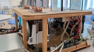 4.10 ДОВОЛЬНОВА Ева Руслановна