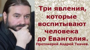 Три явления, которые воспитывают человека до Евангелия. Протоиерей Андрей Ткачев.