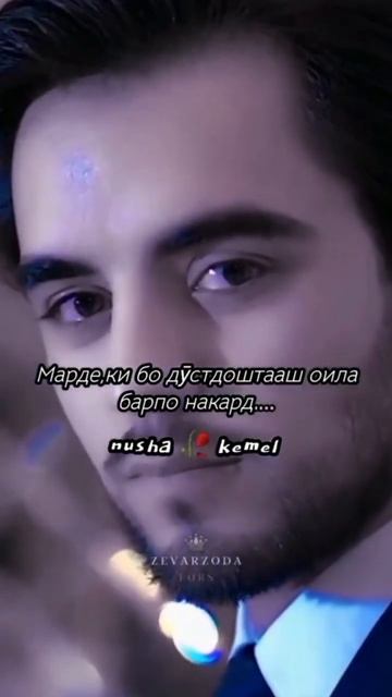 туя. парвиз.тчк..❤❤❤❤❤❤❤❤❤❤❤❤❤❤❤❤