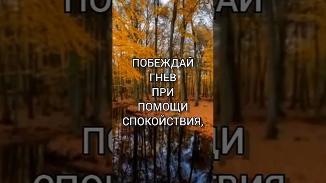 Мудрые слова.