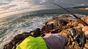 Макрель и не только. Морская рыбалка с берега в Южной Корее