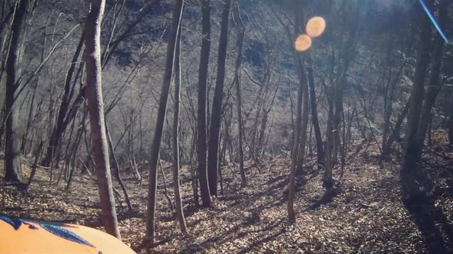 【狩猟】猪を射る瞬間！断末魔がこだまする hunting ドラマ映画 The beast's final scream echoes смотреть онлайн
