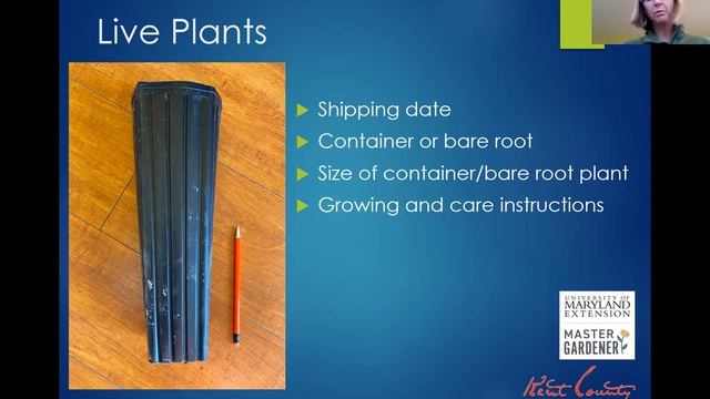Cozy Garden Chat: Selecting Your Garden from Catalogs смотреть онлайн