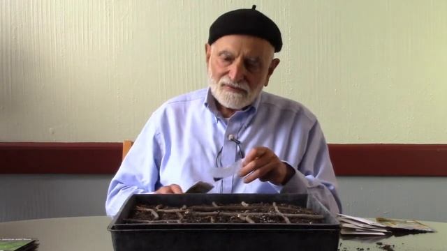 Wheatgrass in Your Kitchen Parsley, Lettuce and Kale in Your Backyard смотреть онлайн