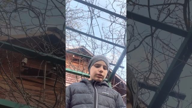Обзор оружее