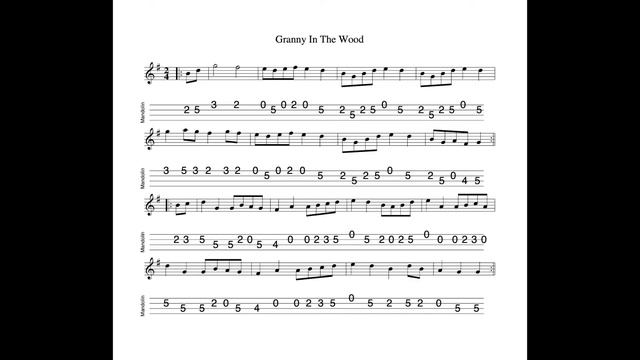 Granny In The Wood REVISITED - a polka in G Major tabbed for mandolin and played by Aidan Crossey смотреть онлайн