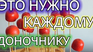 ПАРАШЮТ ДЛЯ ЗАКОРМА ТОЧКИ ЛОВА РЫБЫ. Как сделать.