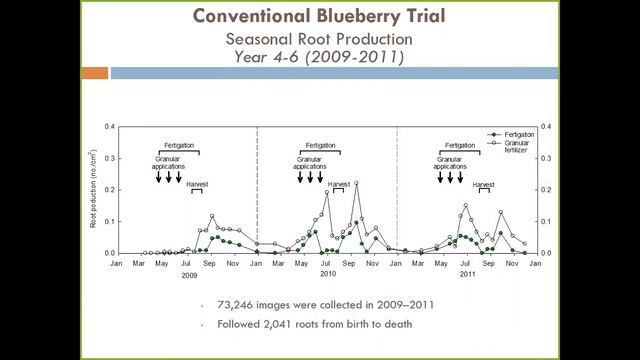 Root Production, Distribution, and Turnover in Blueberries, Luis Venezuela OSU смотреть онлайн