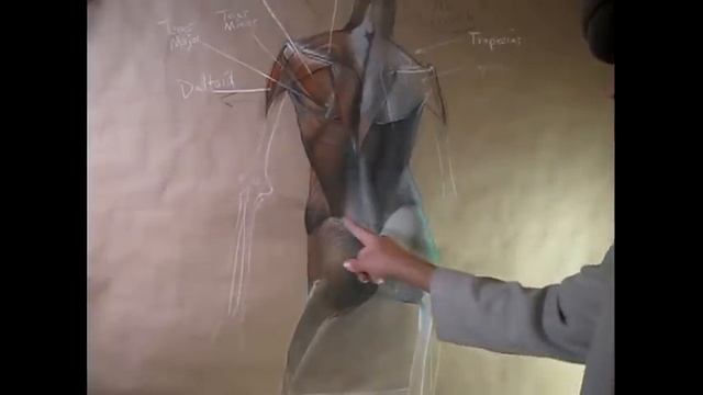 PART 4- ARTISTIC ANATOMY OF THE CHEST/THORAX AND PELVIS смотреть онлайн