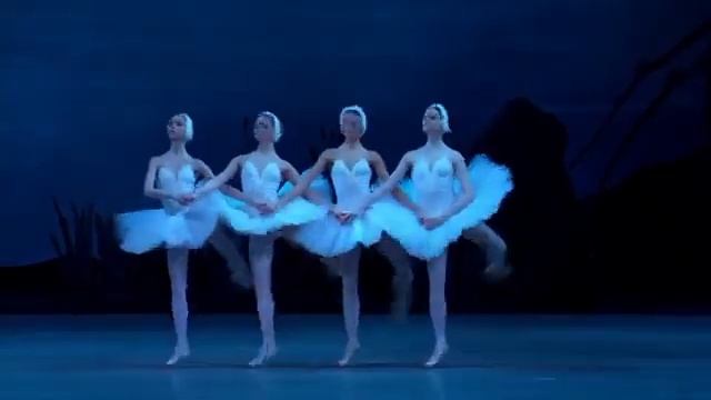 Танец маленьких лебедей смотреть онлайн