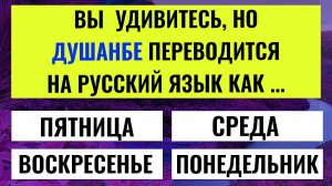 Тест для тех, кто любит проверять свои знания! Осилите все вопросы? ✅ интересные тесты на эрудицию