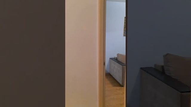 Аренда смотреть онлайн