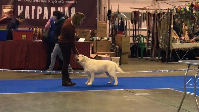 Lab'SPb Neva 19 months смотреть онлайн