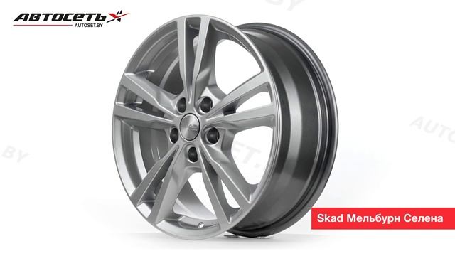 Обзор литого диска Skad Мельбурн Селена ● Автосеть ●