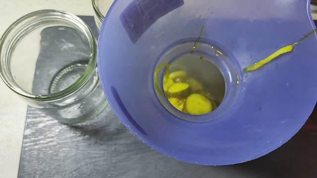 Furry Friends Chronicles