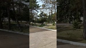 Мой небольшой обзор-отзыв о санатории им.Н.К. Крупской, в котором мы отдыхаем по социальной путевке