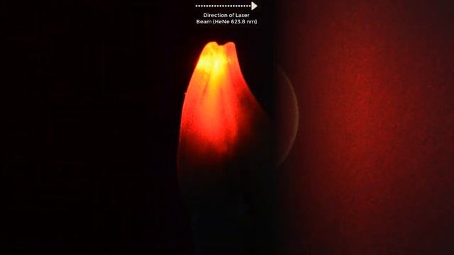 Basic example of photonic behaviour in dental materials and natural teeth смотреть онлайн
