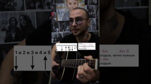 Аккорды к песне Вечно молодой - Смысловые галлюцинации. Разбор на гитаре