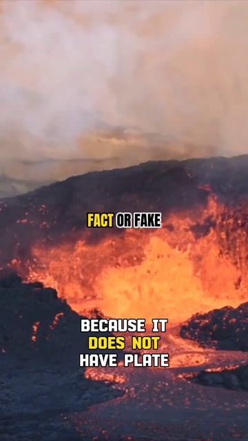 The only continent without active volcanoes in Australia - FACT OR FAKE #shorts #facts #australia смотреть онлайн