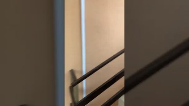 24 марта 2022 г. смотреть онлайн