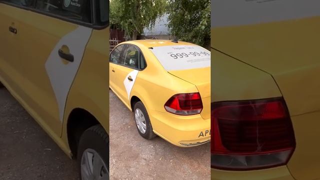 Поло 17г