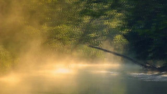 Lotus position meditation with music, deep meditation смотреть онлайн