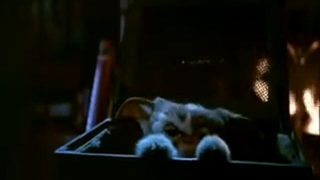 Alessandra Attini Gizmo For Friends смотреть онлайн