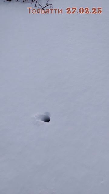 Замер снега Тольятти смотреть онлайн