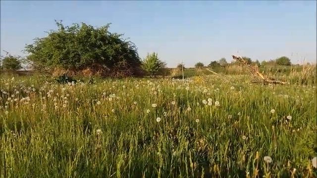 Дерябино. смотреть онлайн