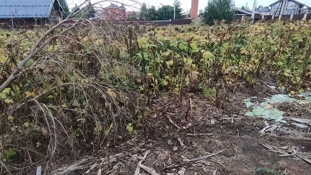 лечищево смотреть онлайн