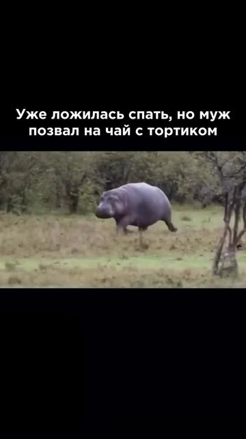 Ну вкусно же