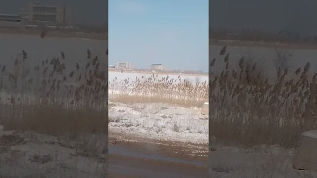 28-02-2025 смотреть онлайн