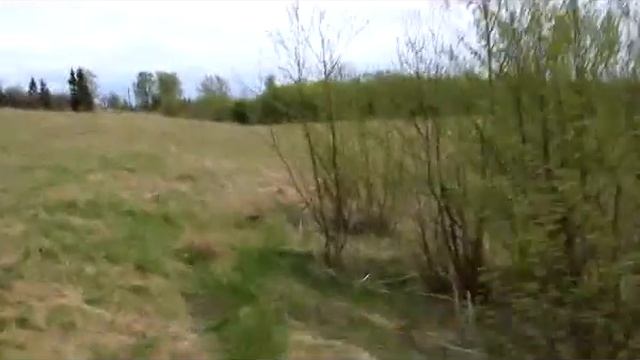 MVI 7117 смотреть онлайн