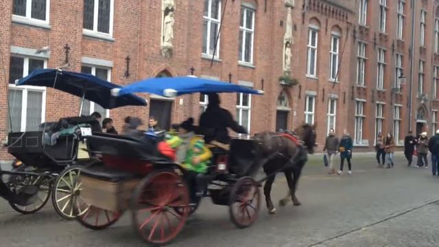 The horse-drawn carriage in Brugge, Belgium (12.12.15) смотреть онлайн
