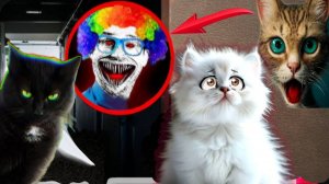 Злой SLEEPY Охотится на Нас в Реальной Жизни!