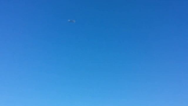 Tim Hover смотреть онлайн