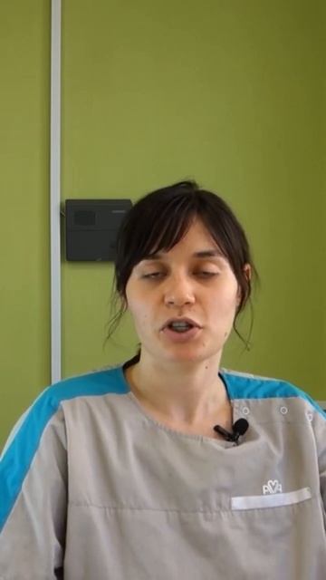 Для чего нужны анализы в ветеринарии смотреть онлайн