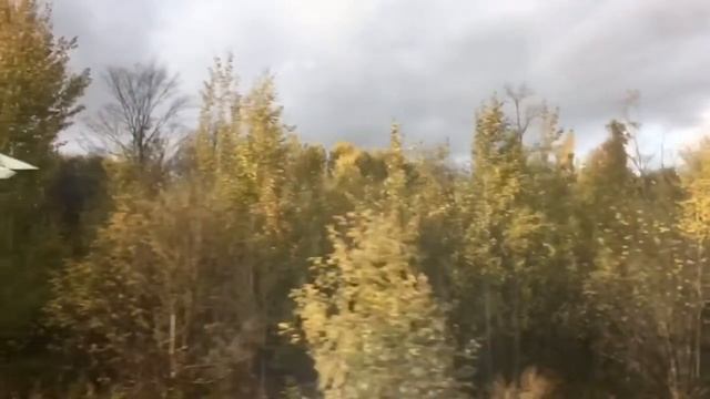 Поезд. Осень смотреть онлайн