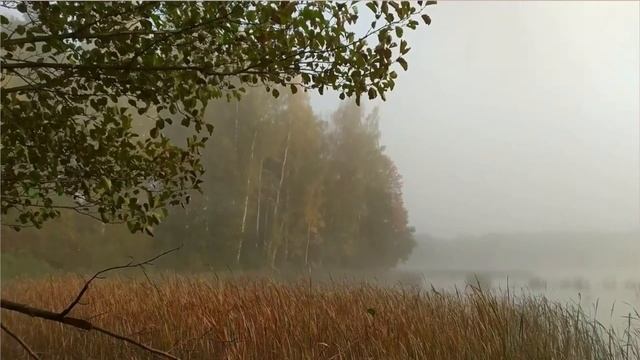 Заняття з ознайомлення з природою/ліплення "Осінні явища" для дітей старшого дошкільного віку смотреть онлайн