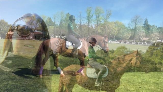 Circus Club Equestrian mini-lesson & hello from the horses смотреть онлайн