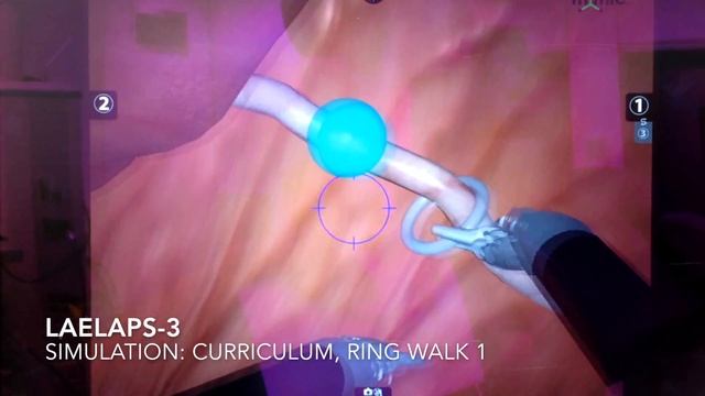 LAELAPS-3: Simulation, Curriculum, Ring Walk 1 смотреть онлайн